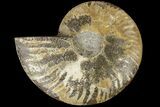 Cut & Polished Ammonite Fossil (Half) - Madagascar #184125-1